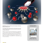 Magnetic field induced brightening in liquid crystal synergized magnetic and semiconducting nanoparticle composite assemblies