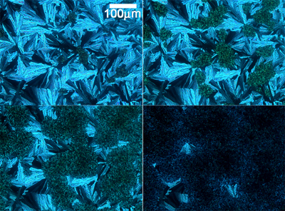 Electric field response of the B1 phase